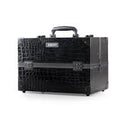 Professional Makeup Black Case Crocodile