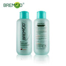 Bremod Developer sunbright 30 vol 1000ml.