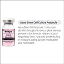 BB Glow Stayve Booster Serum – Aqua Stem Cell Culture Ampoule 8ml