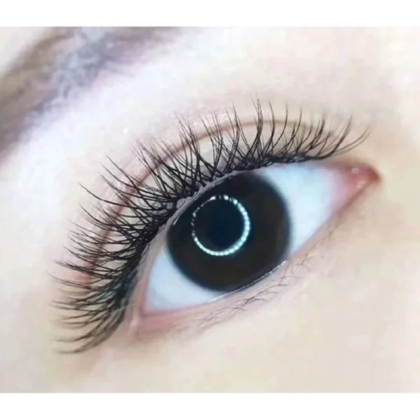 Blink YY Lashes 2D Pre Made Fan Eyelash Extensions Volume 0.07 CC / 0.07D Curl Mix Premade Y Shape Soft Natural Eyelashes Extension by Blink - Image 6