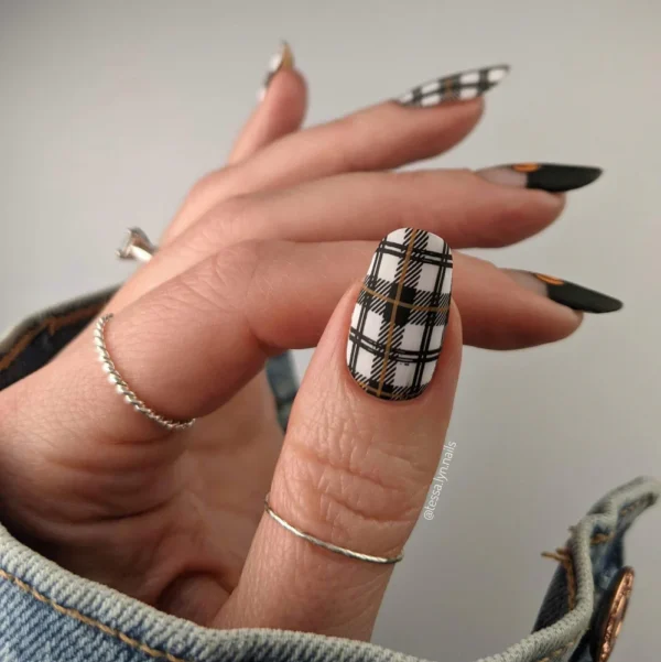 BORN PRETTY Rectangle Plaid Stripe Pattern BPL-041 Nail Stamping Plates Stamp Template Stainless Steel Nail Art Printing Tool - Image 4